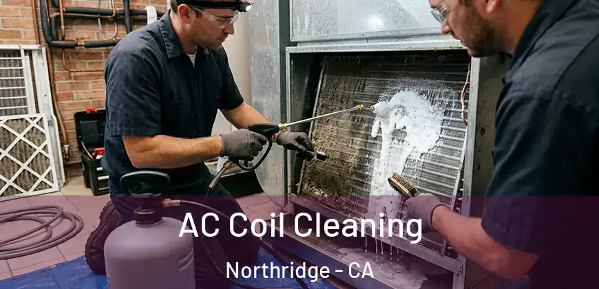  AC Coil Cleaning Northridge - CA