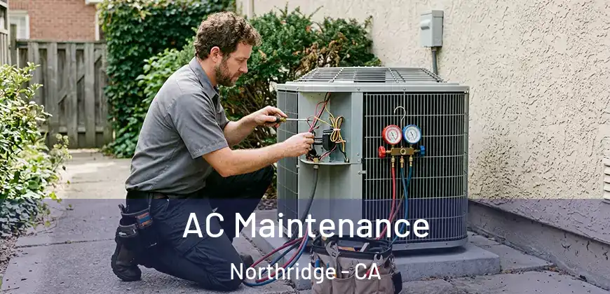  AC Maintenance Northridge - CA