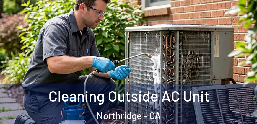  Cleaning Outside AC Unit Northridge - CA